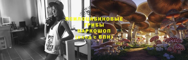 молекула духа Лабытнанги