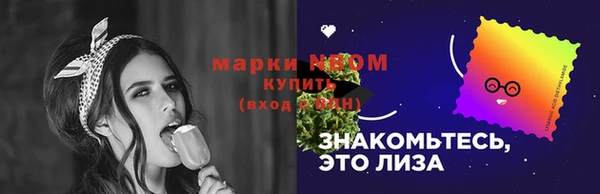 молекула духа Лабытнанги