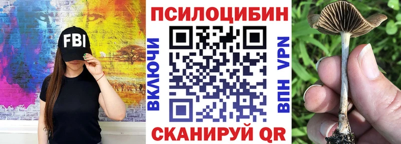 Галлюциногенные грибы GOLDEN TEACHER  Электросталь 