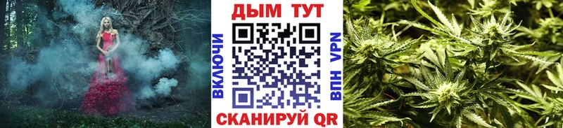 blacksprut как войти наркота мориарти Telegram Конопля индика Электросталь